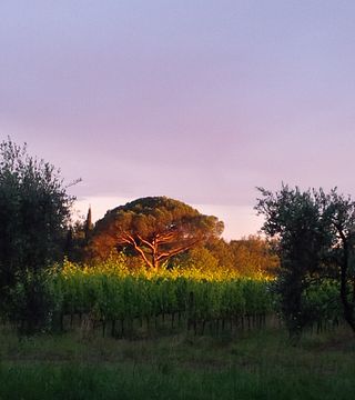 Podere Marella
