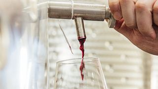 Smaka på 5 utsökta viner på Vazisubani Estate