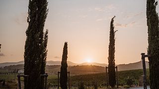Tenuta Dodici