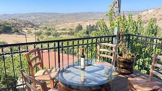 De la vid al vino: uvas autóctonas y bodegas orgánicas de los pueblos vinícolas de Pafos