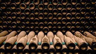 Fasziniert von Cap Classique im Weingut Weltevrede