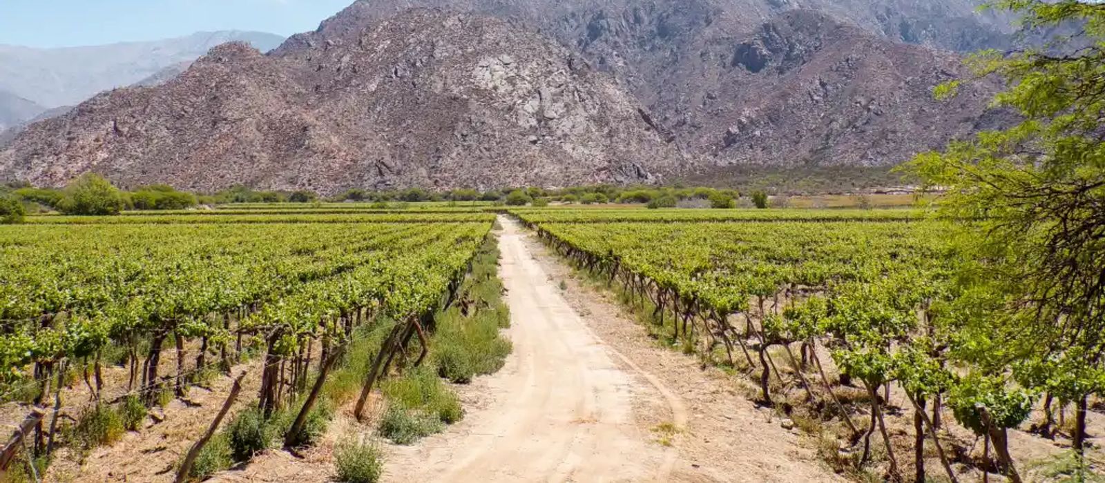 Cafayate-2633150