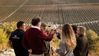 Visita de caminhão 4x4 ao vinhedo e mirante com aperitivo e degustação de vinhos