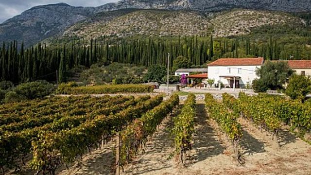 Tour de degustação de vinhos Konavle saindo de Dubrovnik 