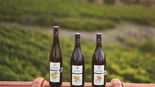 Verkostung von 3 Weinen im Domaine Florian