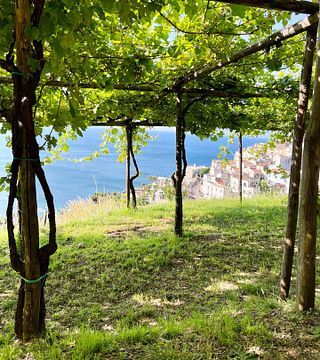 Le Vigne Di Raito