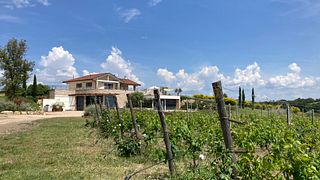 Azienda Agricola Purovino