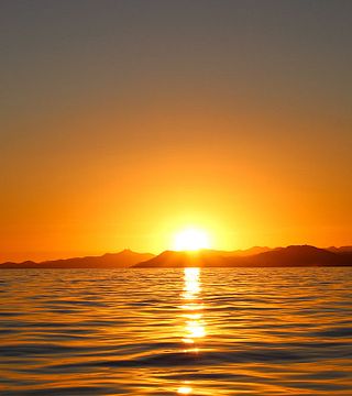 Crucero al atardecer con cata de vinos