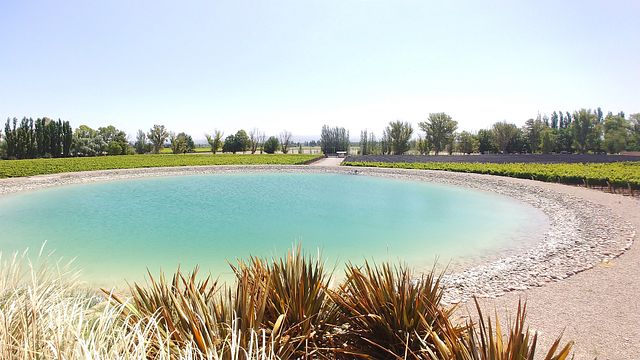 Visite de la région viticole de Maipu