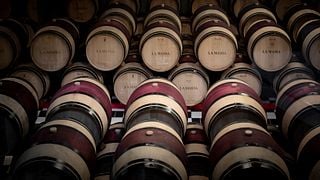 Wine tour