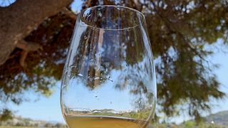 Georgas Family Winery