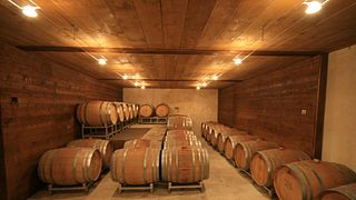 Alsace Biodynamic Wine Tour & Tasting at Francois Baur