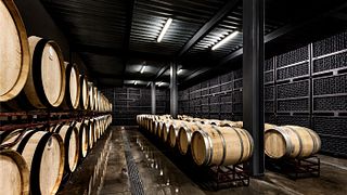 Visita e degustazione di vini "Terroir" presso Ribafreixo Wines
