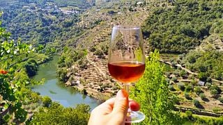 Degustazione di vini nella valle del Douro
