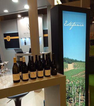 Wine Tasting and Tour at Bodegas Estefania