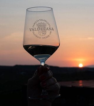 Degustazione di vini e tour popolari a Bodegas Valdelana