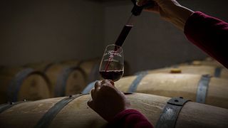 Wine tasting and tour at Château Les Chaumes