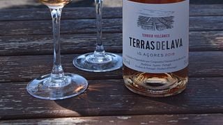 De la terre à la mer – Dégustation de vins à la coopérative viticole de l'île de Pico – Picowines