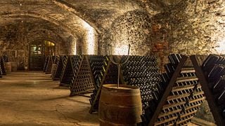 Enjoy Piedmont’s Aged Gavi Elegance at Broglia