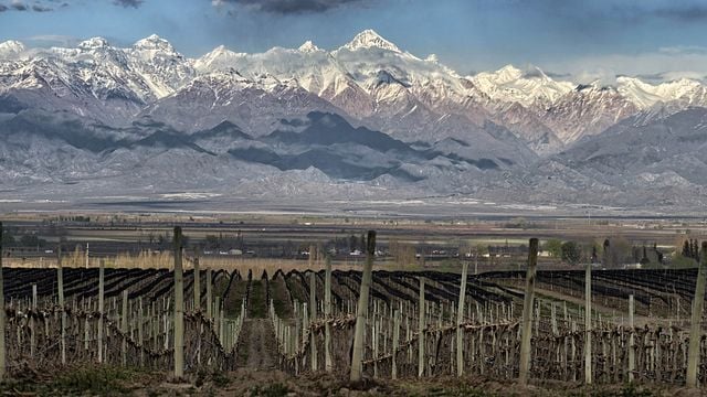 Dégustation de vins et visite à Antigal
