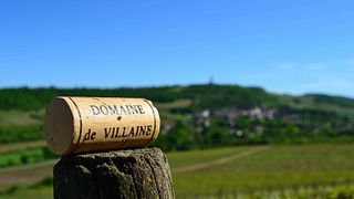 Dégustation et visite des vins du Domaine De Villaine