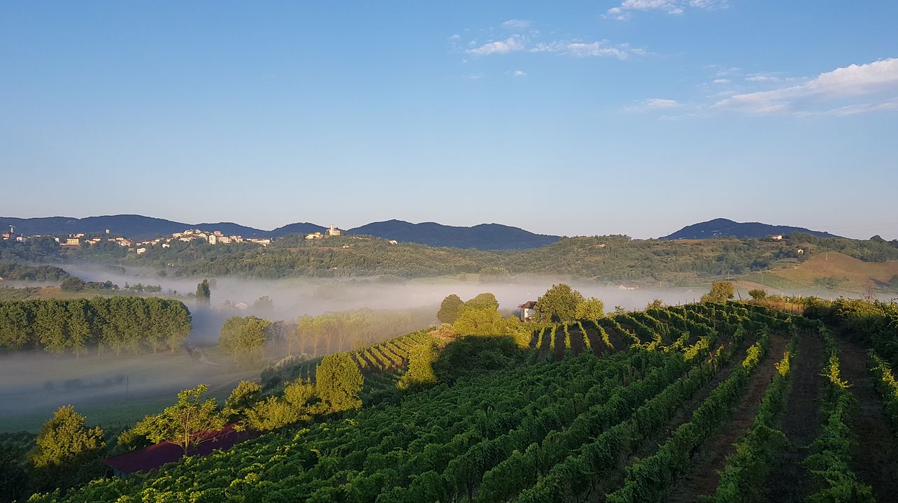 CANTINE ALMA - A Gem in Piedmont's Wine Country