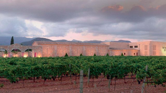 Visita guiada e degustação de 5 vinhos com delicatessen local