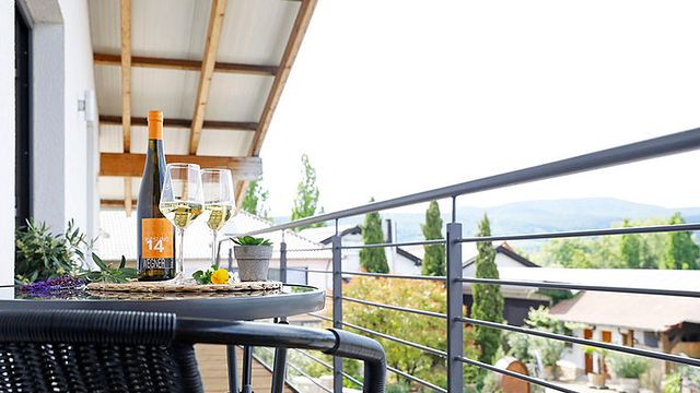 Cata de vinos y visita guiada en Weingut Karl Wegner