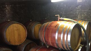 Cata de vinos y visita guiada al Domaine l'Ancienne Cure