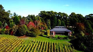 Degustazione di vini e tour al Grey Sands Vineyard