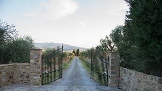 Weinprobe und Tour im Tenuta Pian delle Ginestre