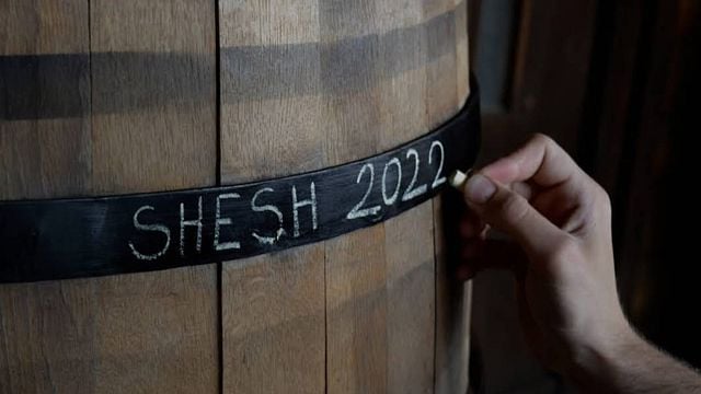 Cata de vinos de Berat: cata de vinos clásica 