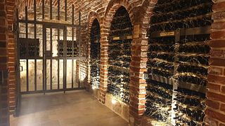 Visite a vinícola Mikulic e o Museu da Tradição Pelješac