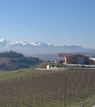 Dégustation de vins et visite à la Cantina Ortenzi
