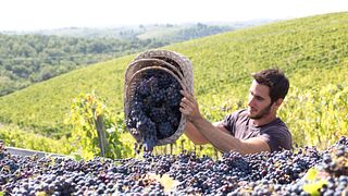 Terre Di Perseto in Chianti Classico