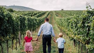 Weinprobe im Weingut Alphart