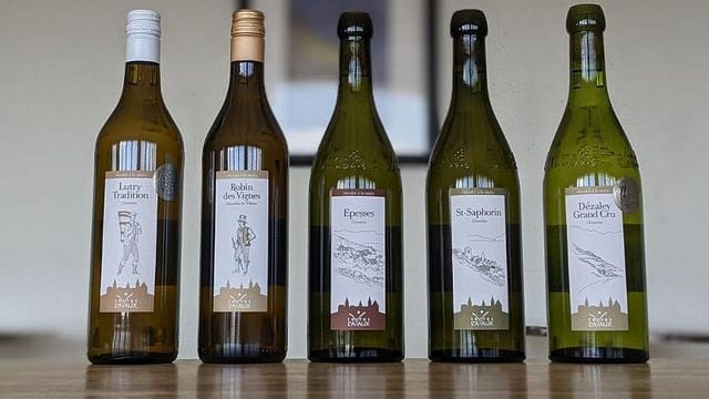 Chasselas y terroirs degustación de 5 vinos | Tierras de Lavaux