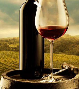 Visita e degustazione di vini presso l'azienda vinicola Ludanyi Pince