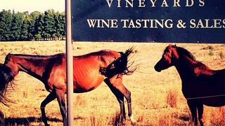 Arra Vineyards