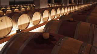  Visita a la bodega y cata de vinos VIP en Tenute Girolamo en el Valle de Itria