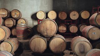 Degustazione di 5 Vini e Tour al Rondo del Valle