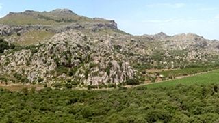Balearic Wine & Views: Vinyes Mortitx Tasting Tour