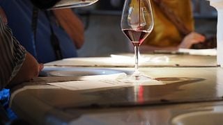 Tour guidato di degustazione di vini di mezza giornata nei vigneti di Bordeaux