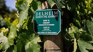 Delheim Winery
