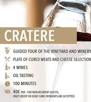 Degustazione Vini e Cibo "Cratere"