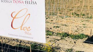 Bodega Doña Felisa