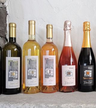 Weintour und Verkostung im Vinska Klet Tavčar - Pri Starčih