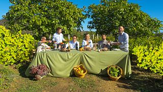Weinprobe und Führung im Domaine de l'Arjolle
