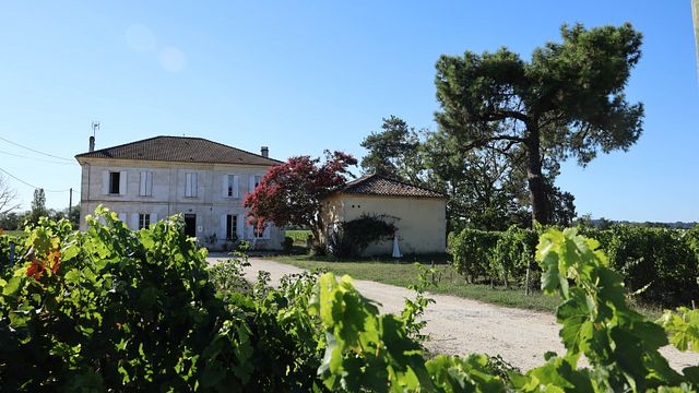 Degustazione di vini, spiegazioni e tutte le risposte possibili alle vostre domande!