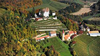 Cata de vinos y visita guiada en Winkler-Hermaden
